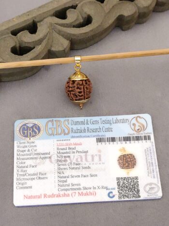 Gold Plated 7 Mukhi Rudraksha Pendant